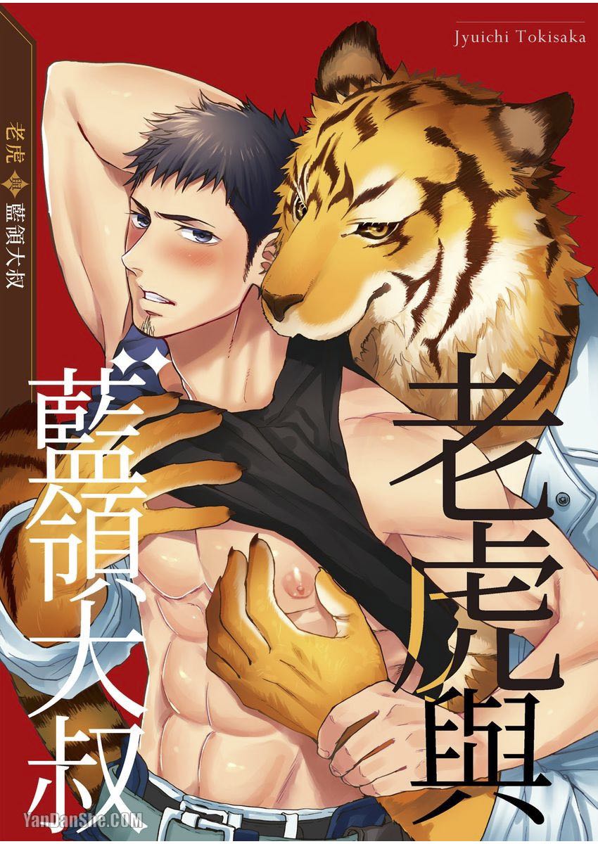 耽熊-老虎与蓝领大叔