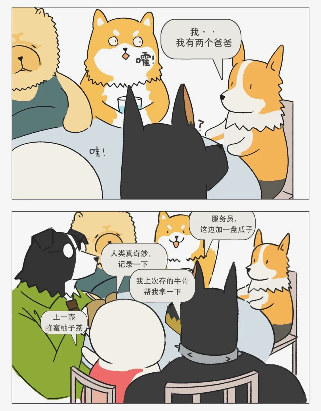 耽熊-狗狗茶话会
